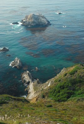 DSC_0124.jpg