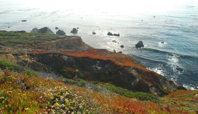 DSC_0130.jpg