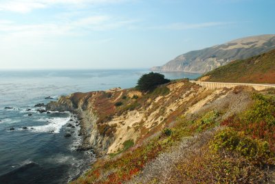DSC_0133.jpg