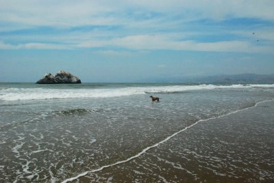 DSC_0172.jpg