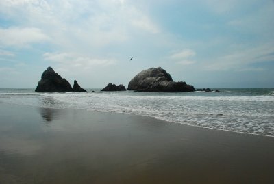 DSC_0177.jpg