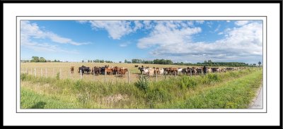 _MTK1302-Pano.jpg