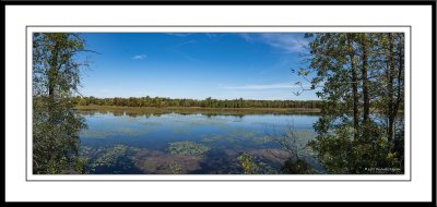 _8501367-Pano.jpg