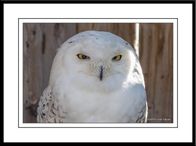 Montreal Zoo EcoMuseum