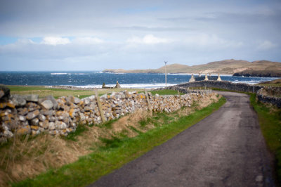 DSC_9821-2-001.jpg
