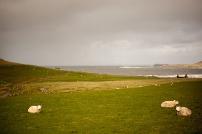 DSC_9827-2-001.jpg