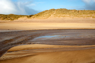 DSC_9862-2-001.jpg