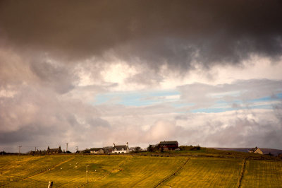 DSC_9919-001.jpg