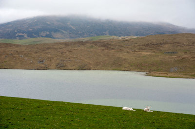 DSC_0127-001.jpg