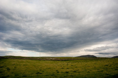 DSC_1004-001.jpg