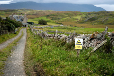 DSC_3466-001.jpg