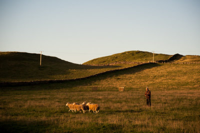 DSC_3827-2.jpg