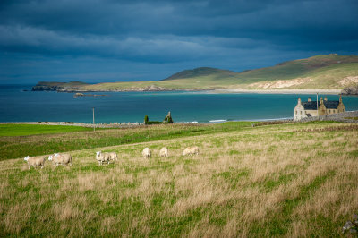DSC_4494-3.jpg