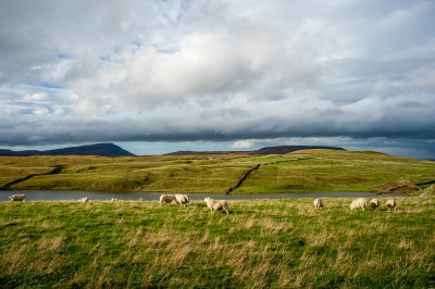 DSC_4496-2.jpg