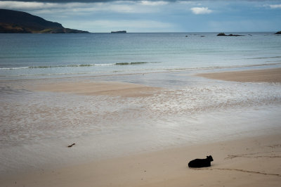 DSC_4502-2.jpg