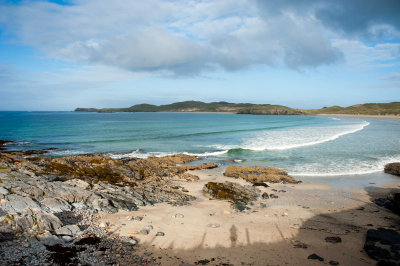 DSC_4594-4.jpg