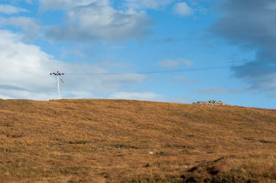 DSC_4612-2.jpg