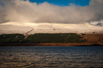 DSC_5022-001.jpg