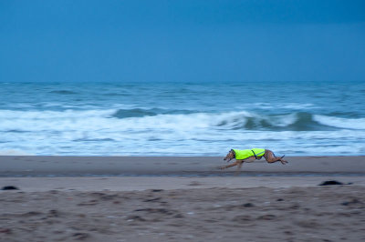 2nd January 2018  run on the beach