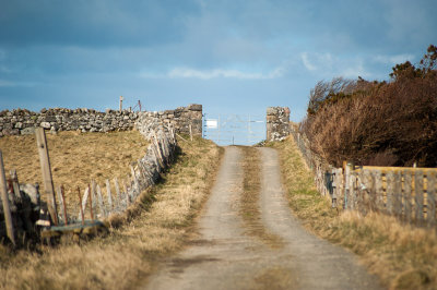 DSC_7965-2.jpg