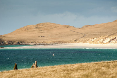 DSC_7971-2.jpg