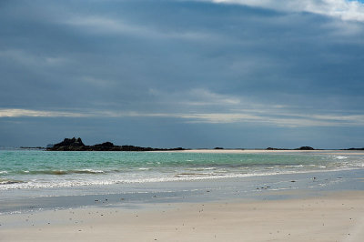 DSC_1198001.jpg