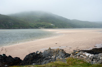 DSC_13162.jpg