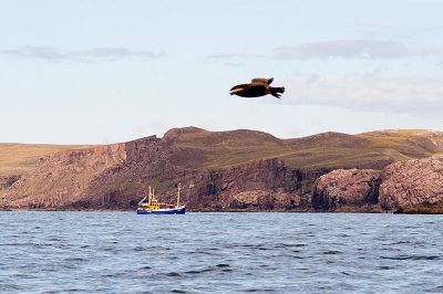 DSC_1961001.jpg