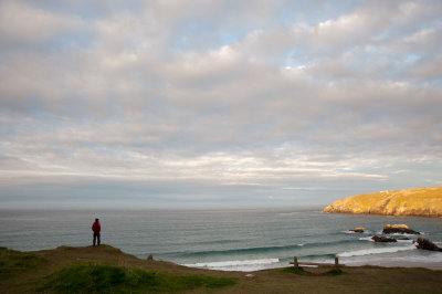 DSC_31582.jpg