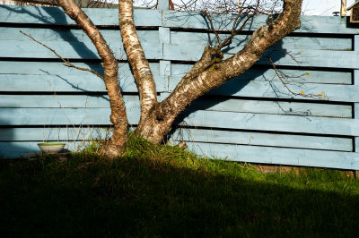 DSC_43492.jpg