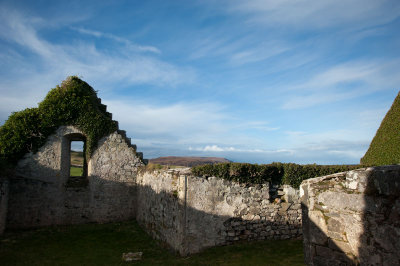 DSC_43332.jpg