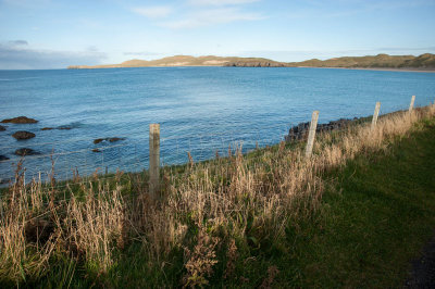 DSC_43362.jpg