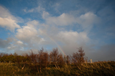 DSC_43532.jpg