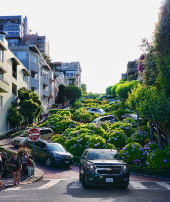 Lombard Street in San Francisco 