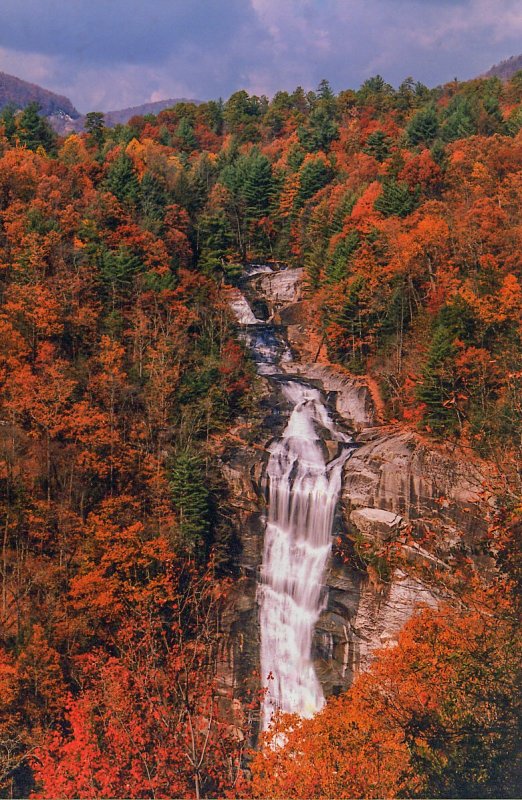 Lower Whitewater Falls