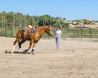 hesperia_wranglers_april_2017