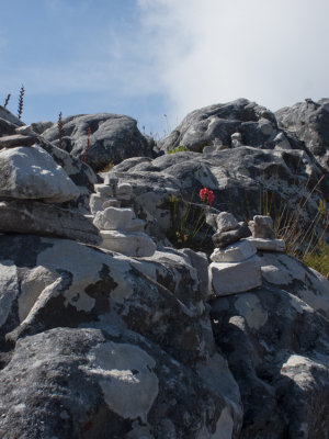 Table Mountain ~ Cape Town