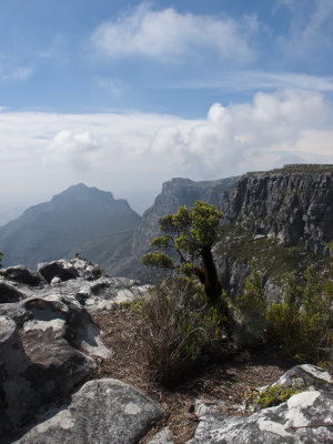Table Mountain ~ Cape Town