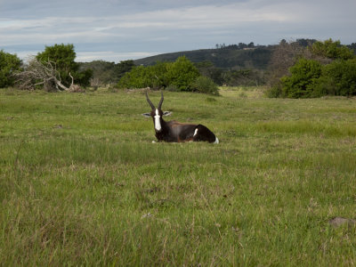 Kragga Kamma Game Park ~ Port Elizabeth