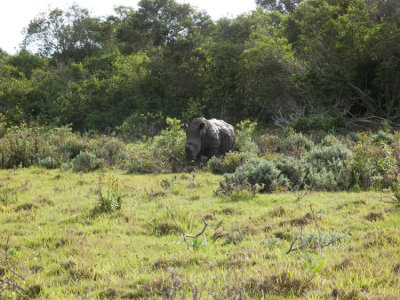 Kragga Kamma Game Park ~ Port Elizabeth