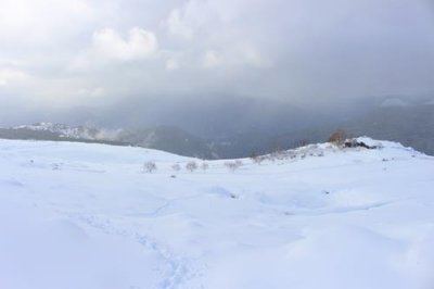 2016129329 Snowy Sierra Nevada.jpg