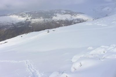 2016129355 Poquira Valley Sierra Nevada.jpg