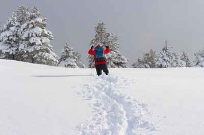 2016129376 Jason Sierra Nevada.jpg