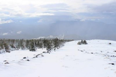 2016129400 Snowy Sierra Nevada.jpg
