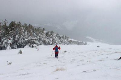 2016129428 Jason Sierra Nevada.jpg