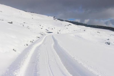 2016129448 Snow tracks Sierra Nevada.jpg