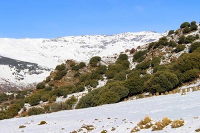 2016129517 Sierra Nevada in Winter.jpg