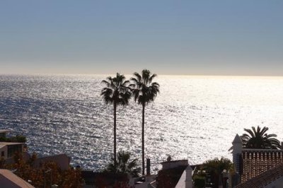 2016129705 Palm Trees Nerja.jpg