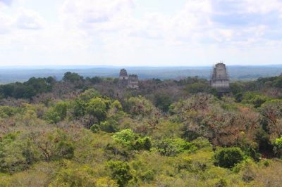 2017042158 Templo 5 view Tikal.jpg