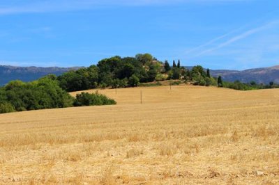 2017083503 Fields D952 near Riez.jpg